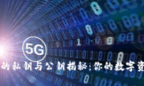 以太坊钱包的私钥与公钥揭秘：你的数字资产安全指南
