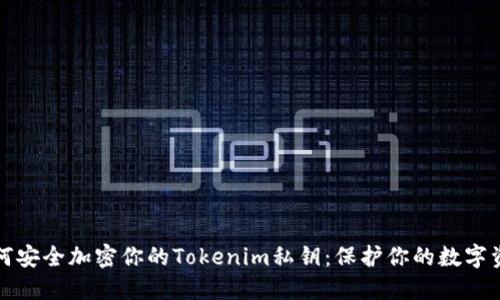 如何安全加密你的Tokenim私钥：保护你的数字资产