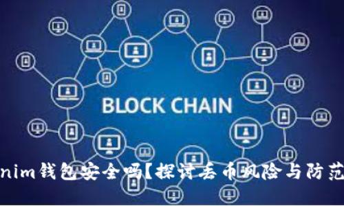 Tokenim钱包安全吗？探讨丢币风险与防范措施
