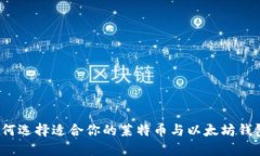 如何选择适合你的莱特币