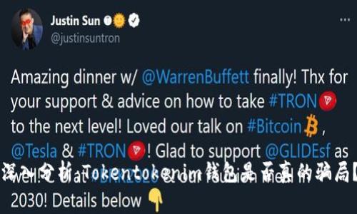 深入分析：Tokentokenim钱包是否真的骗局？