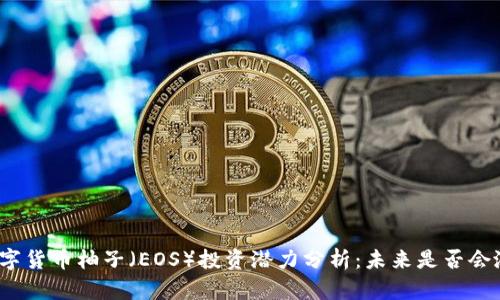 数字货币柚子（EOS）投资潜力分析：未来是否会涨？