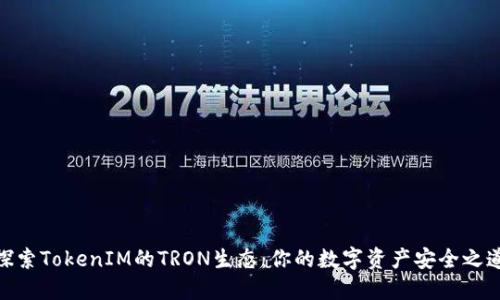 探索TokenIM的TRON生态：你的数字资产安全之道