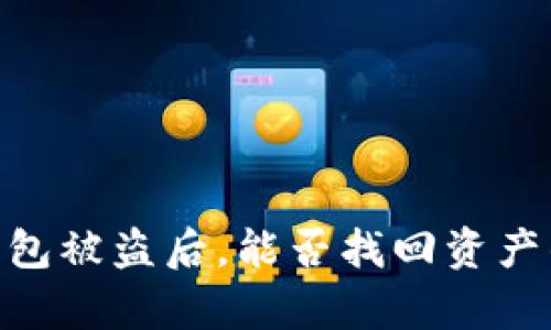 Tokenim钱包被盗后，能否找回资产的全面解析