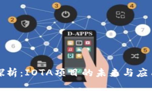 深入探析：IOTA项目的未来与应用前景