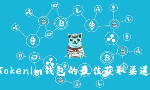 探索TokenTokenim钱包的最佳获取渠道与使用指南