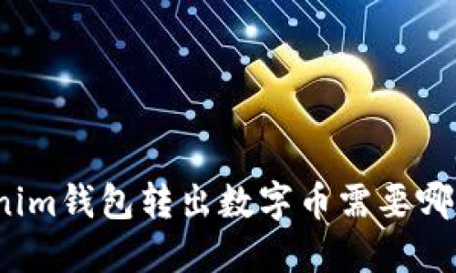 从Tokenim钱包转出数字币需要哪些验证？