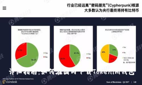 详细指南：如何在国内下载Tokenim钱包