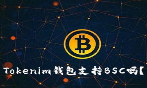 Tokenim钱包支持BSC吗？