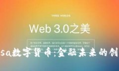 揭秘Visa数字货币：金融未