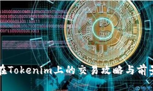 PI币在Tokenim上的交易攻略与前景分析