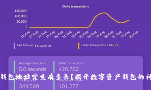 以太坊钱包地址究竟有多长？揭开数字资产钱包的神秘面纱