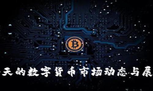 今天的数字货币市场动态与展望