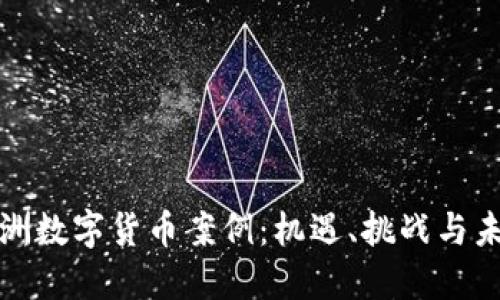 探讨欧洲数字货币案例：机遇、挑战与未来发展