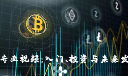 数字货币专业视频：入门、投资与未来发展全解析