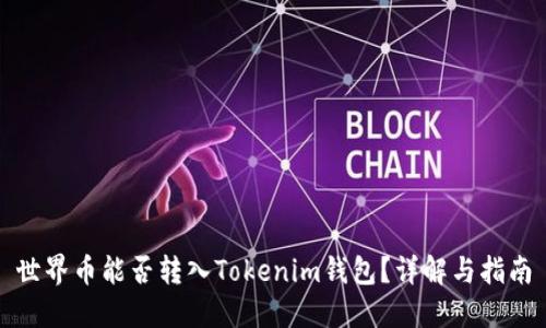 世界币能否转入Tokenim钱包？详解与指南