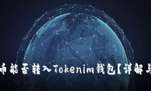 世界币能否转入Tokenim钱包？详解与指南