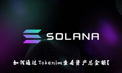 如何通过Tokenim查看资产总金额？