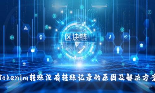 Tokenim转账没有转账记录的原因及解决方案