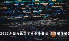 2023年国内数字货币全景解