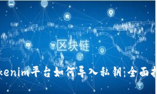 Tokenim平台如何导入私钥：全面指南