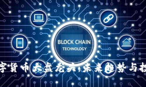 揭秘数字货币大盘龙头：未来趋势与投资机会