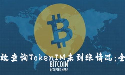 如何高效查询TokenIM未到账情况：全面指南