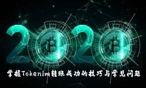 掌握Tokenim转账成功的技巧与常见问题
