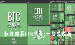 如何购买PIG代币：一站式