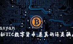 xiaoyan  揭秘VIC数字货币：
