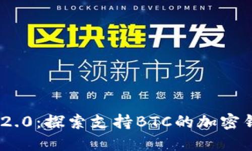 Tokenim 2.0：探索支持BTC的加密钱包的潜力