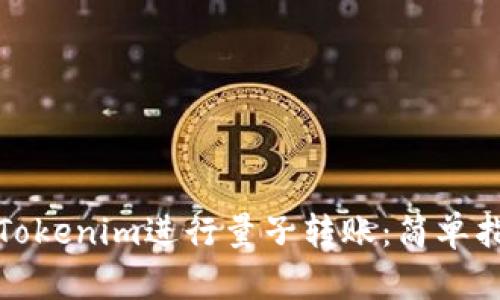 如何使用Tokenim进行量子转账：简单指南与技巧