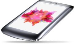 如何解决Tokenim不显示资金