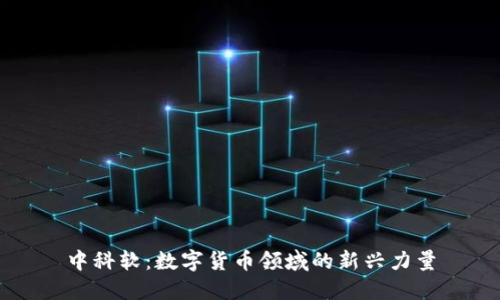 中科软：数字货币领域的新兴力量