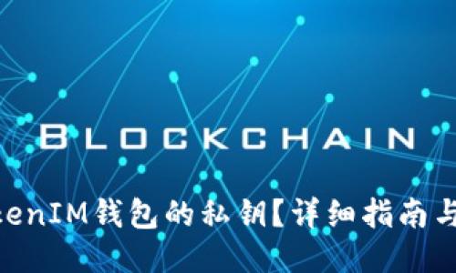 如何查看TokenTokenIM钱包的私钥？详细指南与你的安全息息相关