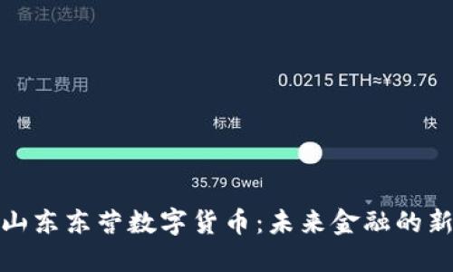探索山东东营数字货币：未来金融的新趋势
