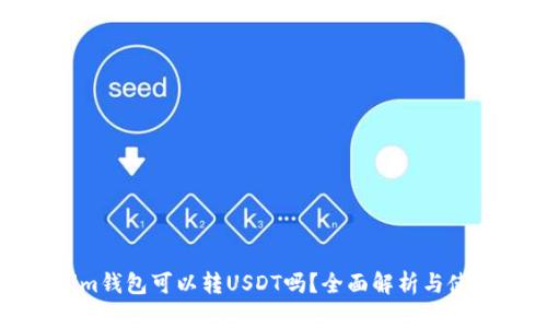 Tokenim钱包可以转USDT吗？全面解析与使用指南