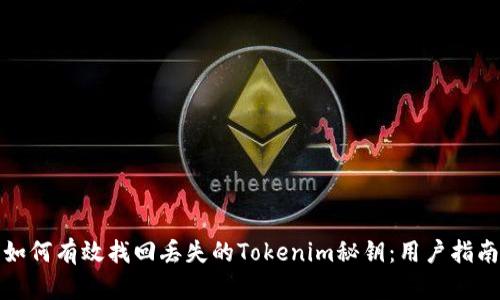 如何有效找回丢失的Tokenim秘钥：用户指南