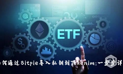 如何通过Bitpie导入私钥到Tokenim：一步步详解