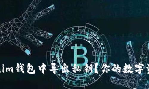 如何在Tokenim钱包中导出私钥？你的数字资产安全之道
