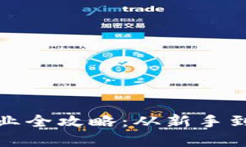 数字货币投资创业全攻略：从新手到高手的必备指南