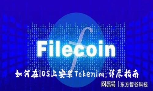 如何在iOS上安装Tokenim：详尽指南