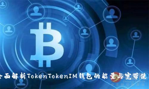 全面解析TokenTokenIM钱包的能量与宽带使用