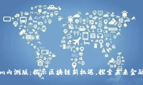 Tokenim内测版：揭示区块链新机遇，探索未来金融的潜力
