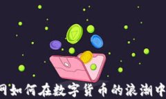 中国物流网如何在数字货