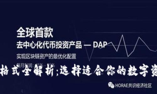 以太坊钱包格式全解析：选择适合你的数字资产存储方案