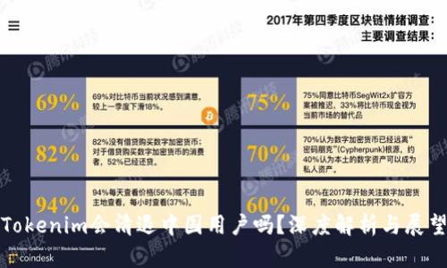 Tokenim会清退中国用户吗？深度解析与展望