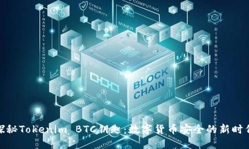 探秘Tokenim BTC钥匙：数字货币安全的新时代