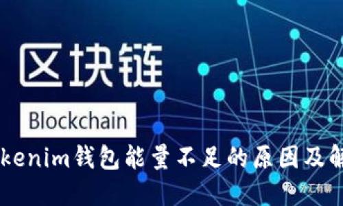 了解Tokenim钱包能量不足的原因及解决方法