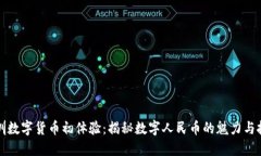 深圳数字货币初体验：揭